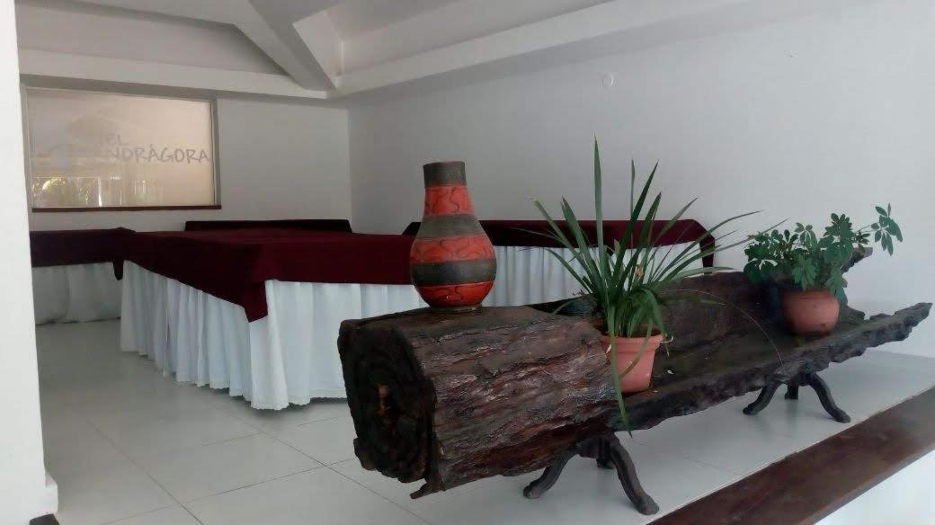 Tarumã